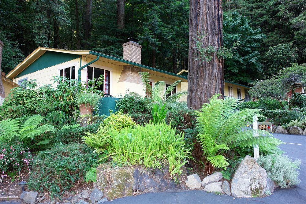 Fern Grove Cottages Guerneville Buitenkant foto