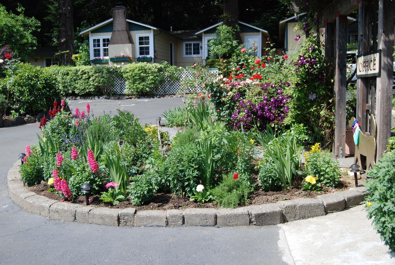 Fern Grove Cottages Guerneville Buitenkant foto