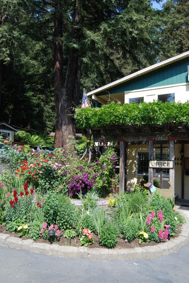 Fern Grove Cottages Guerneville Buitenkant foto