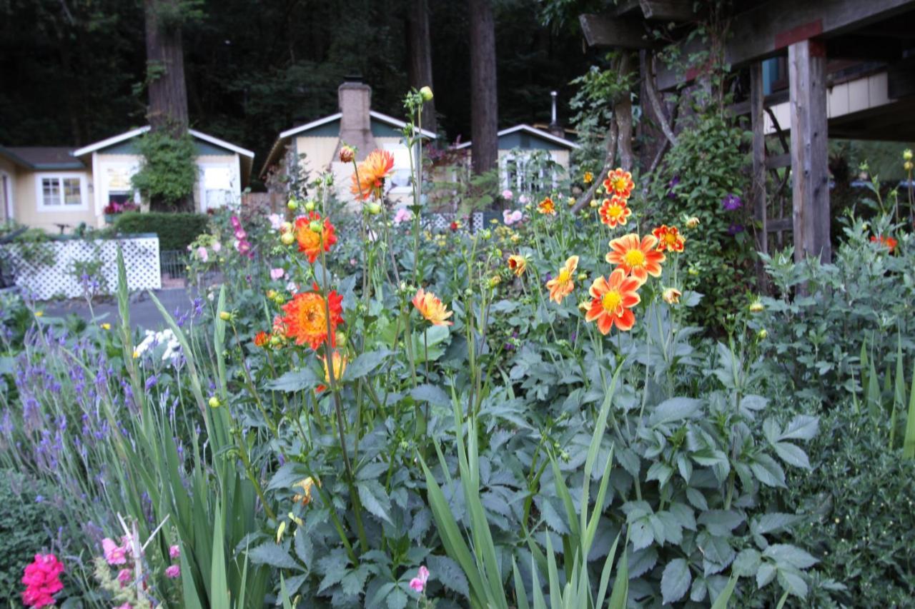Fern Grove Cottages Guerneville Buitenkant foto